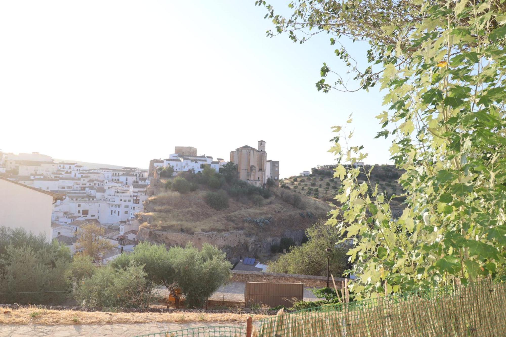 Apartamento El Mirador Del Parque Setenil De Las Bodegas Eksteriør billede